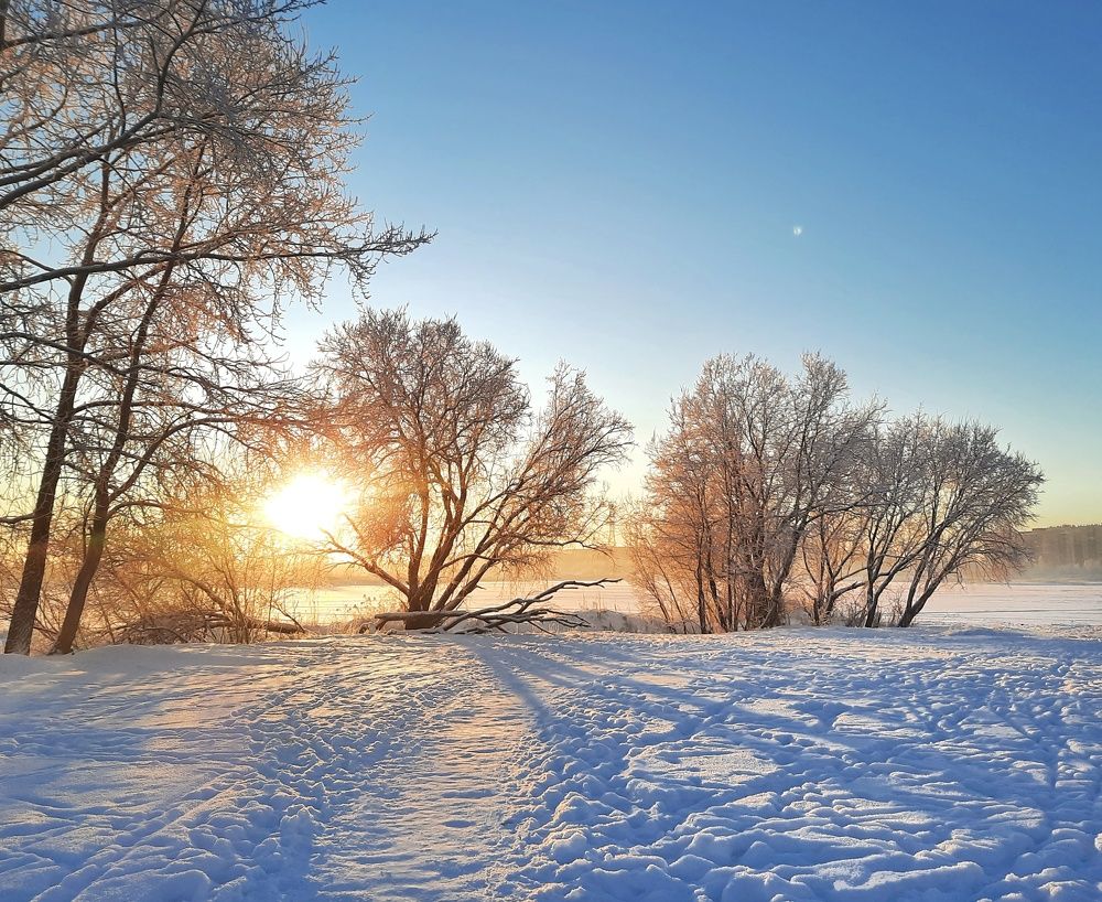 Photograph by Ольга Шаньгина