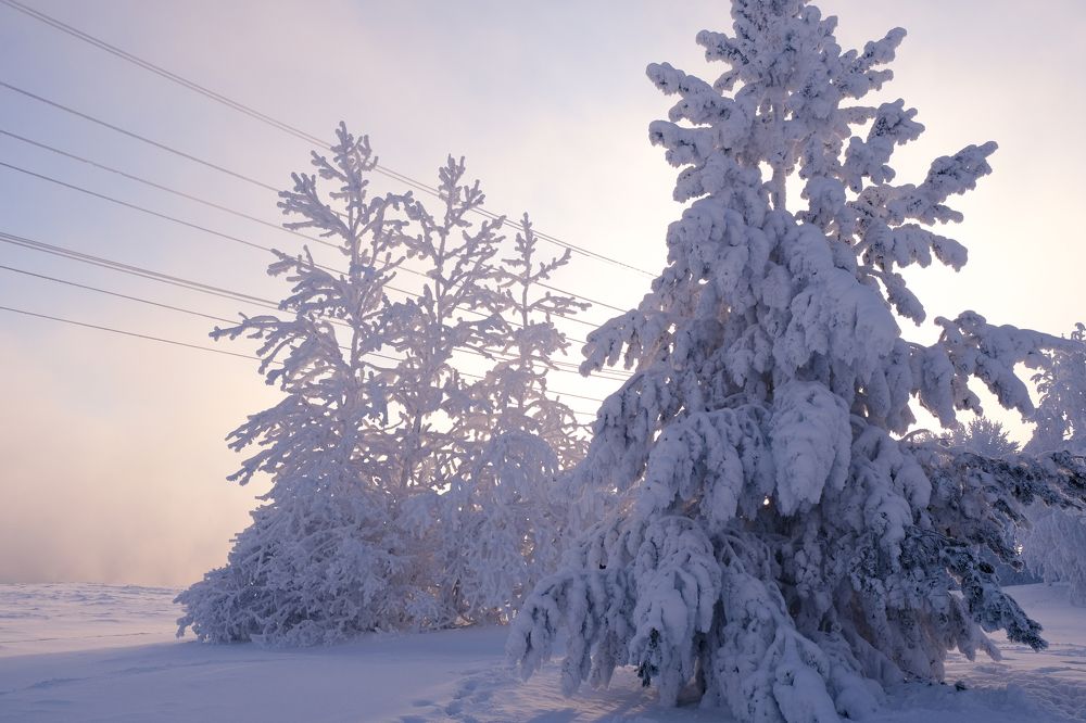 Photograph by Олеся Гейко