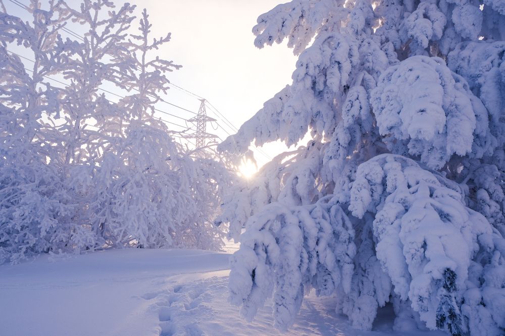 Photograph by Олеся Гейко