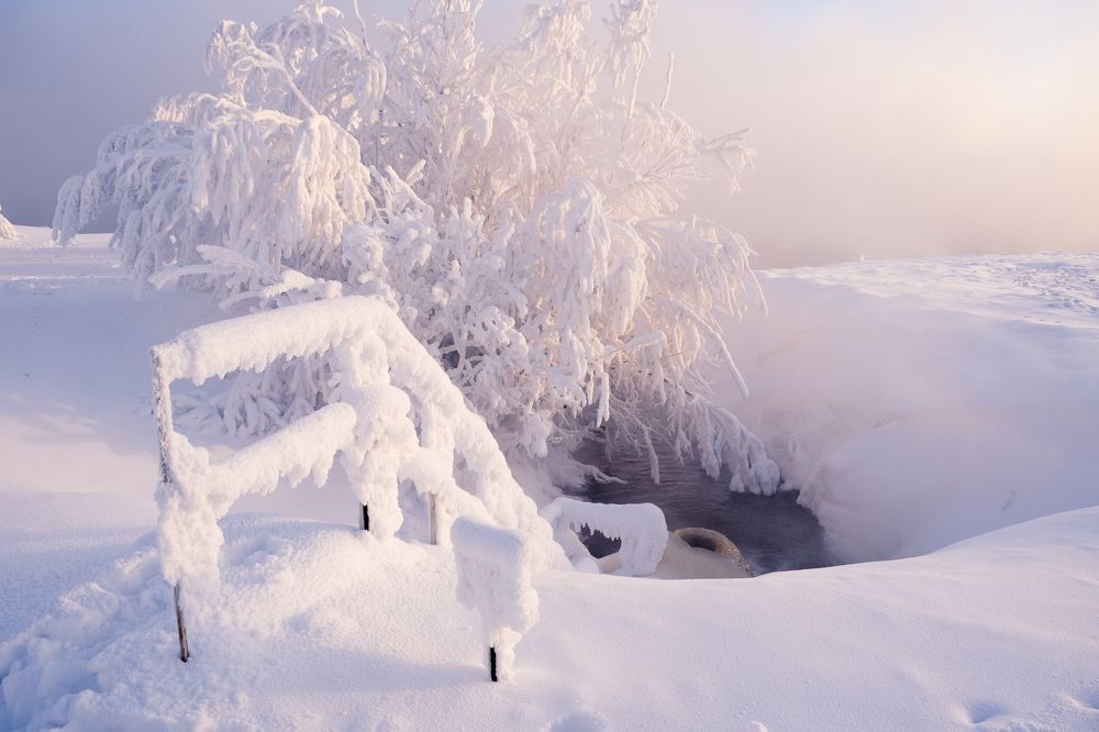 Photograph by Олеся Гейко