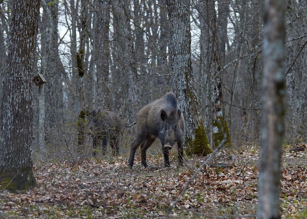 Photograph by Наталья Богач