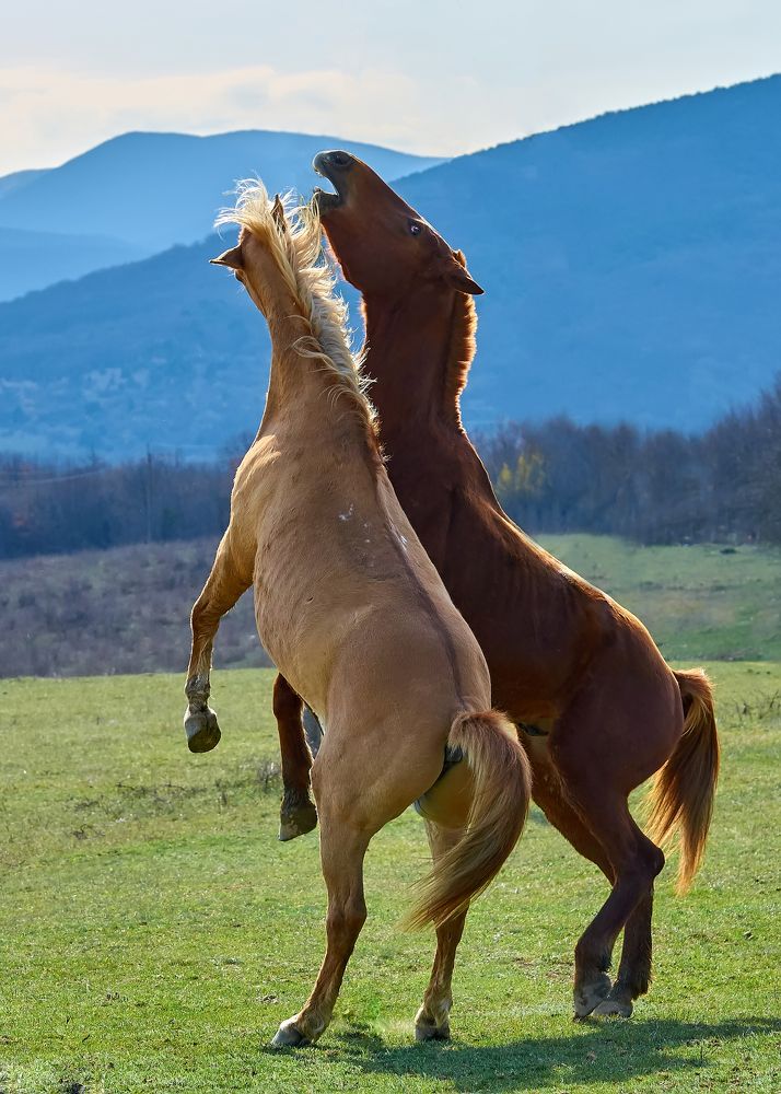 Photograph by Наталья Богач