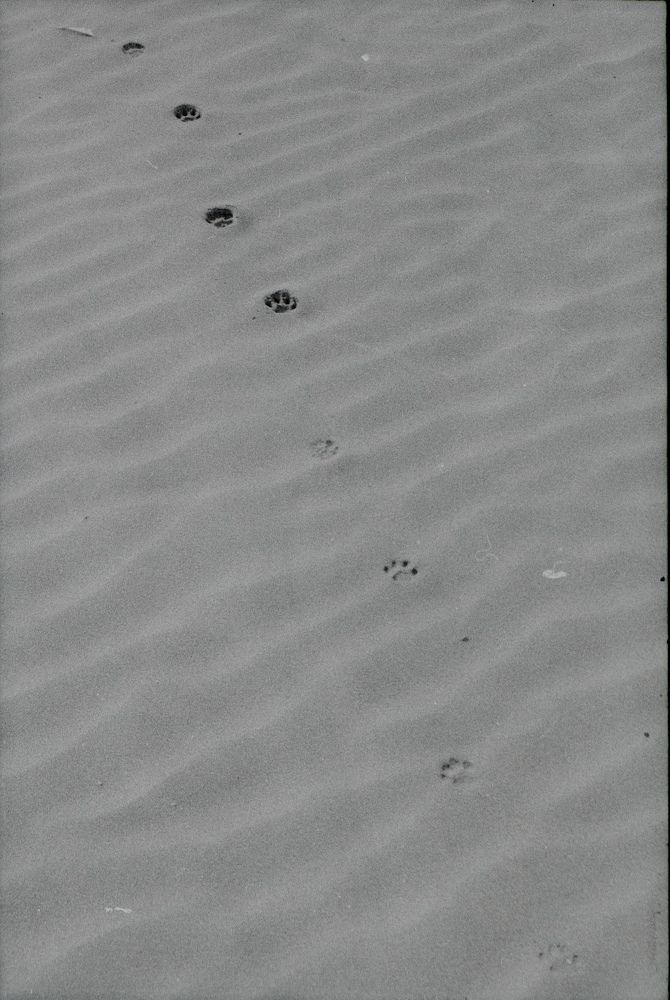 Photograph by mohamad adyalchi