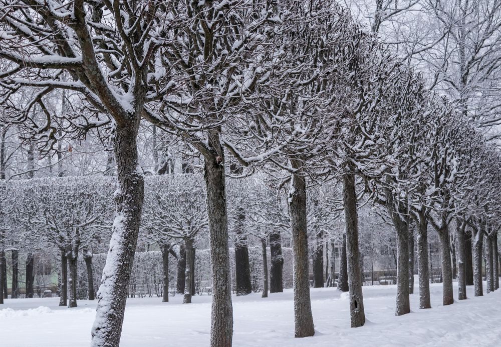 Фотография автора Eлена Пивнякова