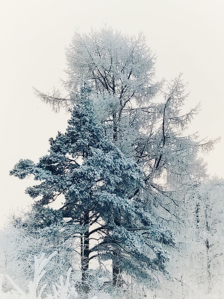 Photo #5574013