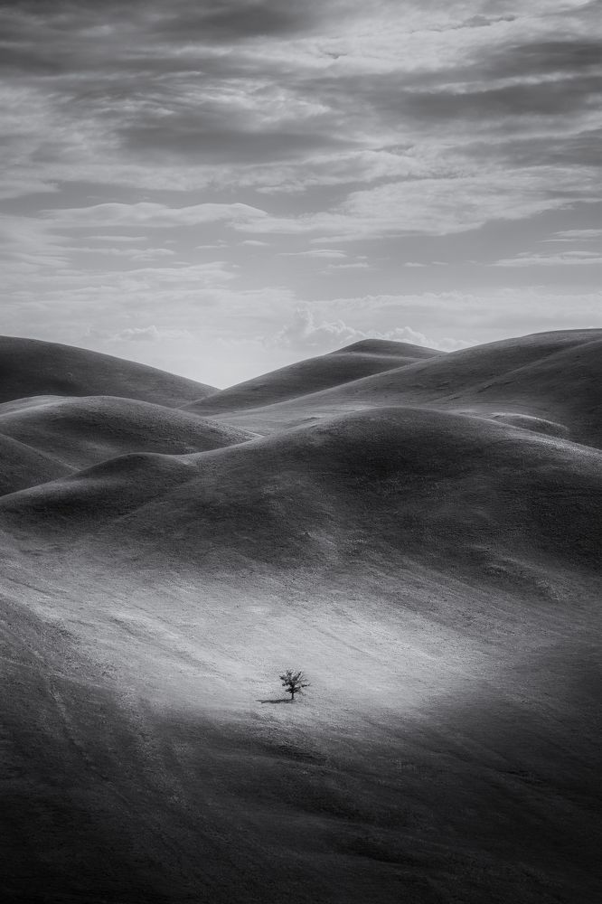 Фотография автора  Евгений