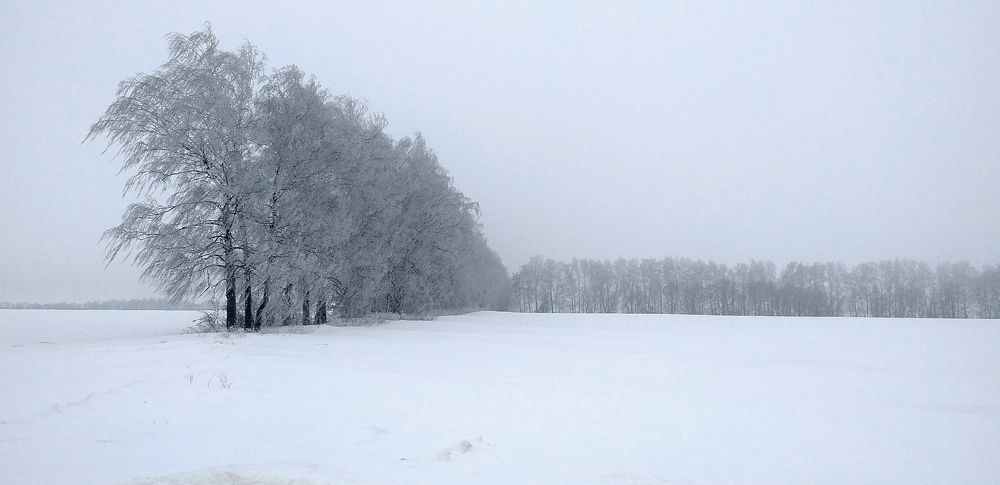 Photograph by Александр Кириков