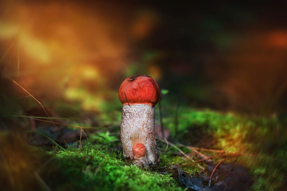 Photograph by Игорь Осипенко