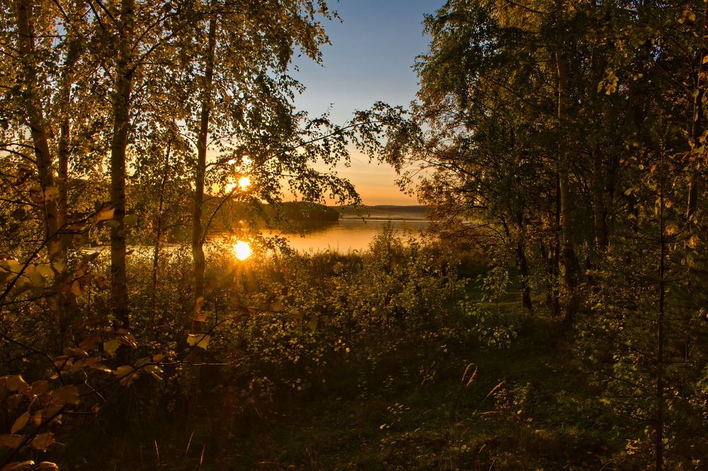 "Солнце в озере купалось"
