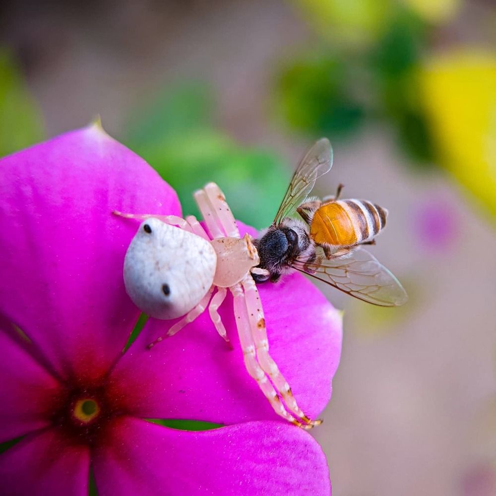 Photograph by Aakash Kumar