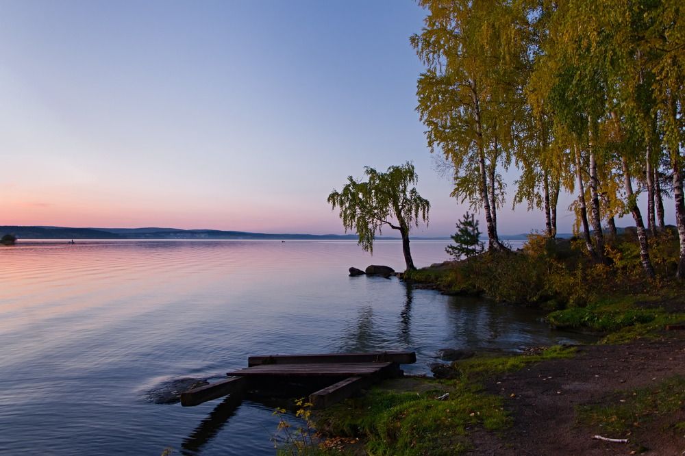 "Причудливое дерево"