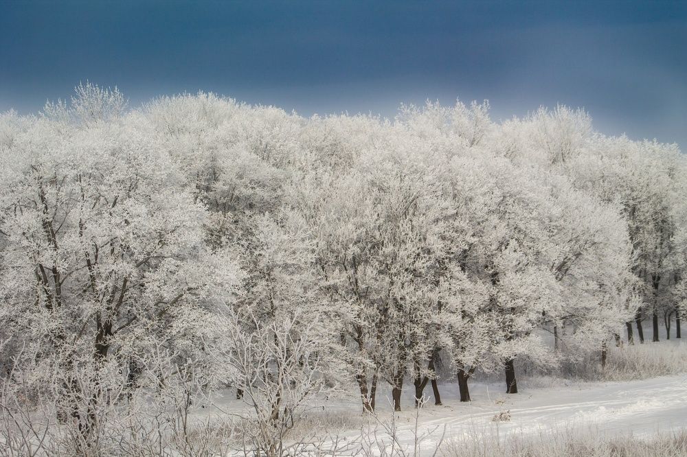 Photograph by Владислав Кулиш