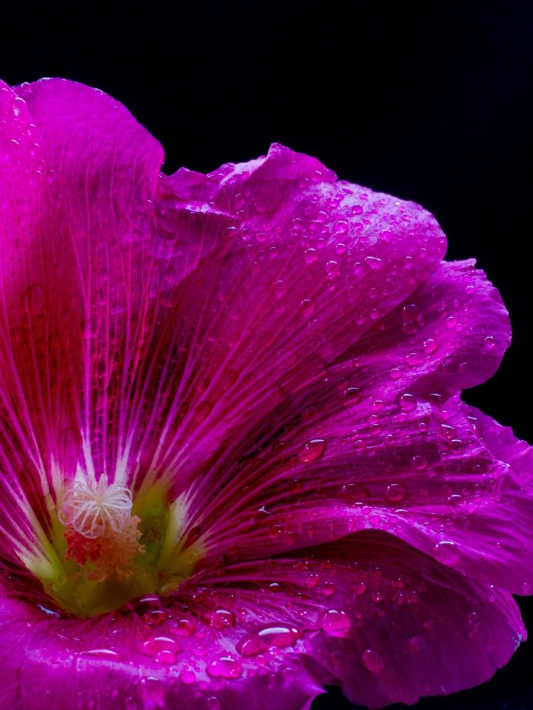 Photograph by Сергей Маркелов