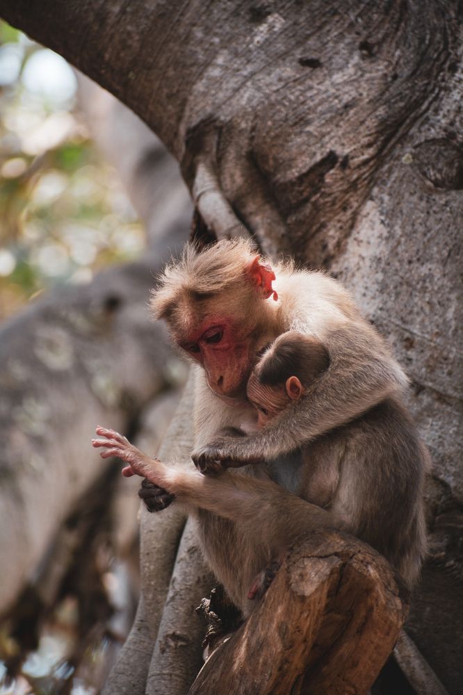 Photograph by Aakash Kumar