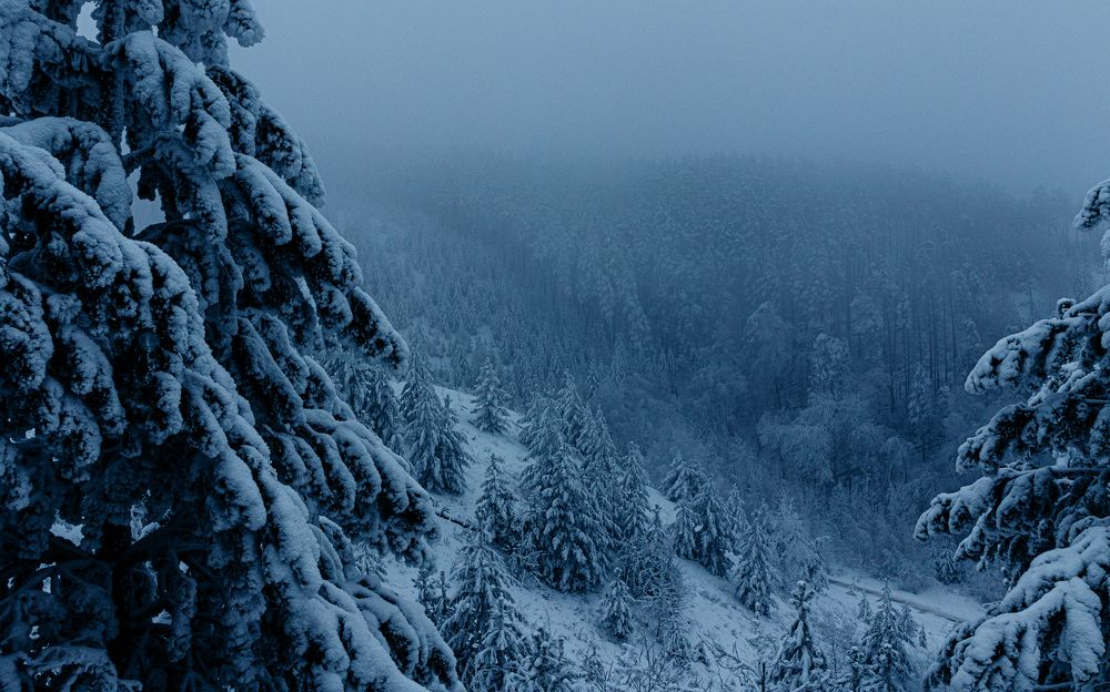 Photograph by Герман Матвеев