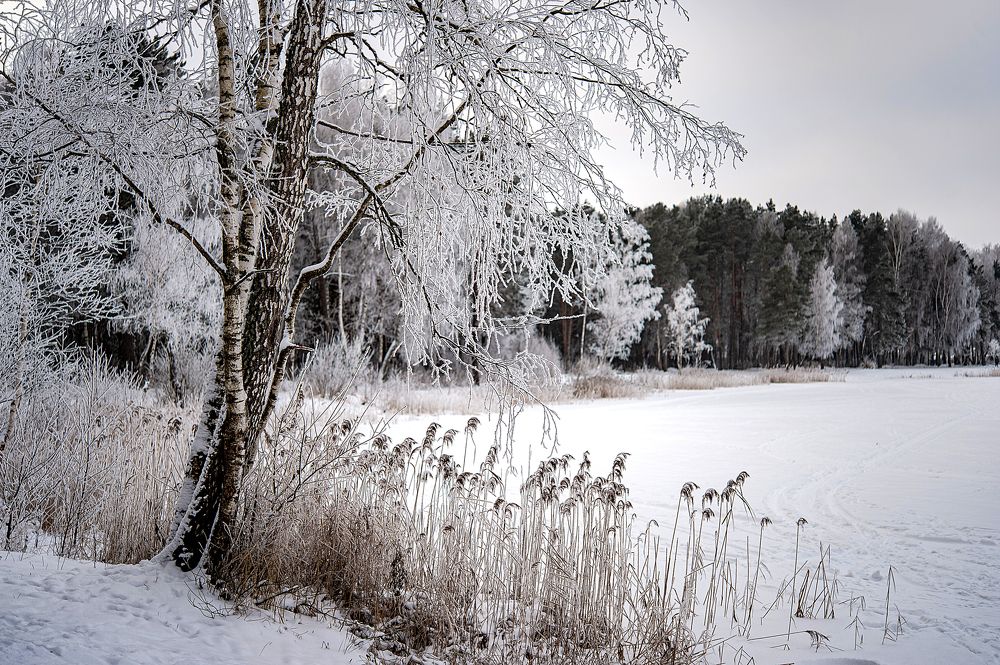 Photograph by Николай Смолянкин