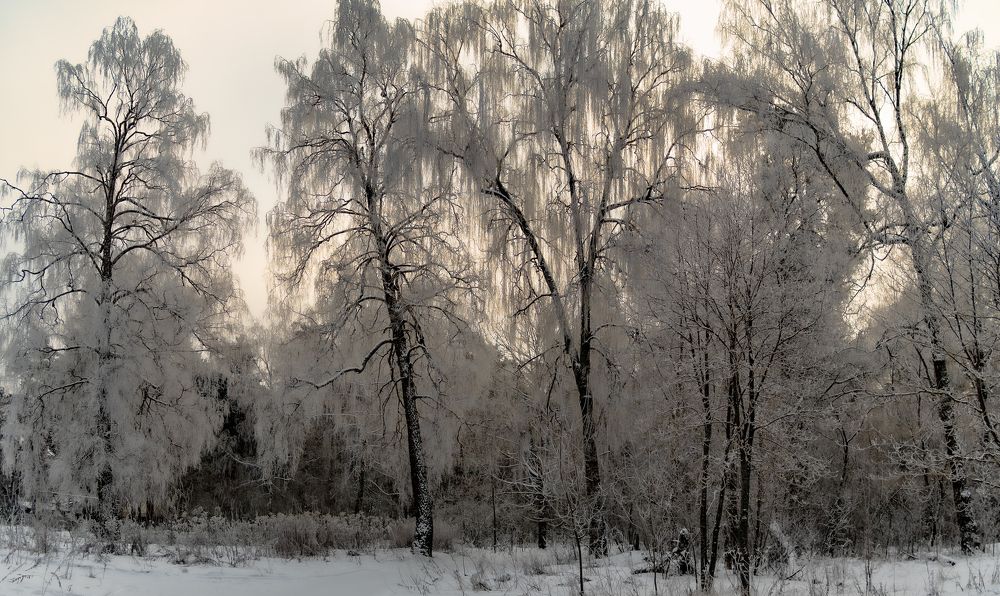 Photograph by Николай Смолянкин