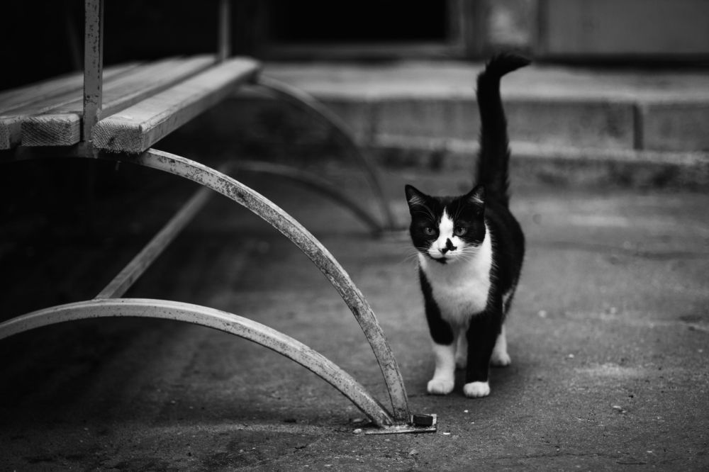 Photograph by Наталья Кулемина