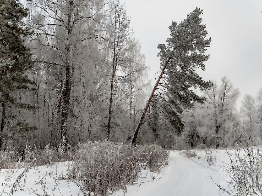 Photograph by Николай Смолянкин