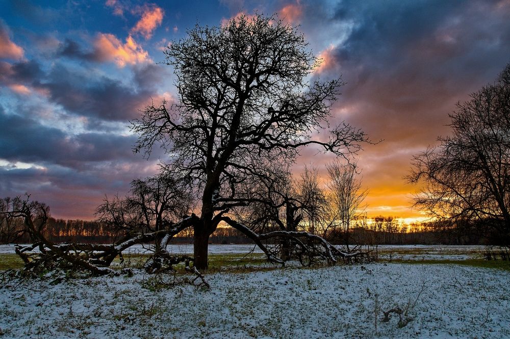 Photograph by Milan Uhrin