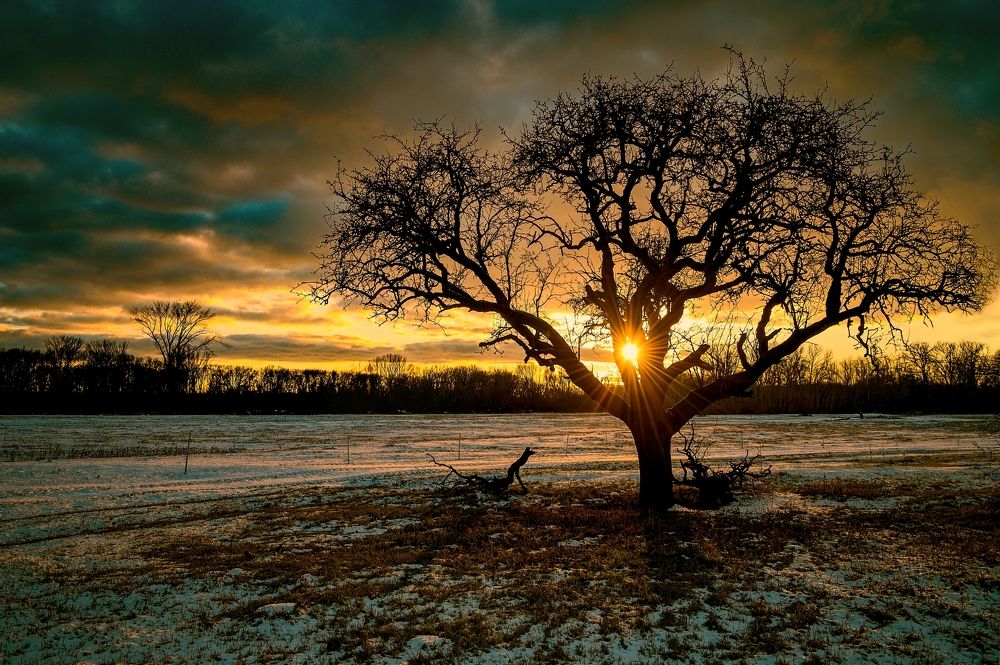 Photograph by Milan Uhrin