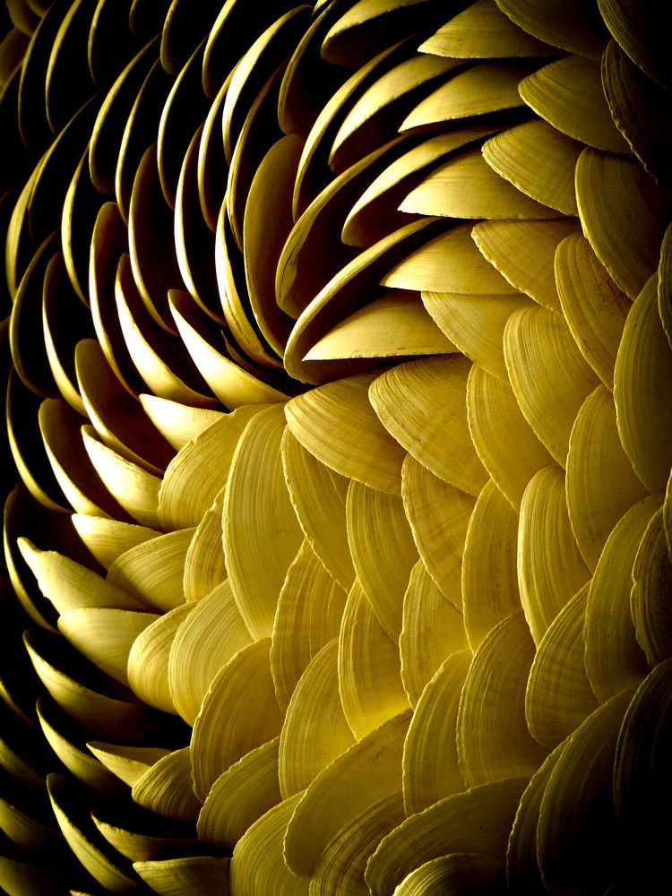 Photograph by Patricia LECCIA