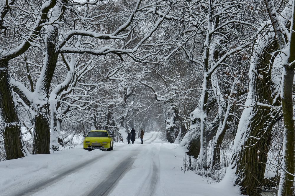 Photograph by Татьяна Полянская