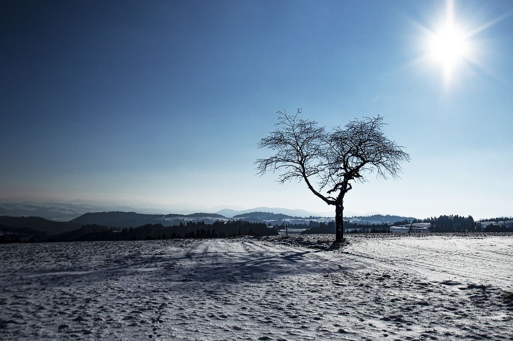 Photograph by Sandrine Gendre