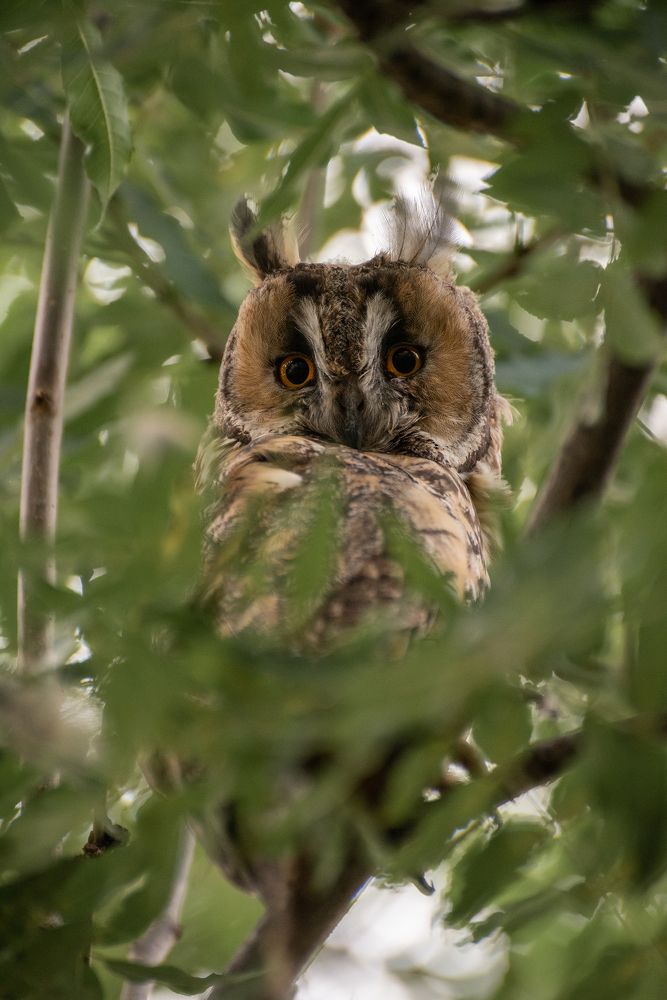 Photograph by Рустам Афлятунов