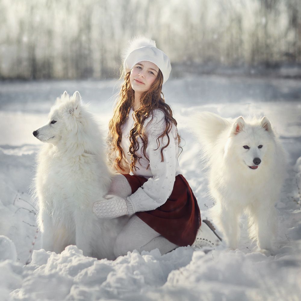 Зимняя радость