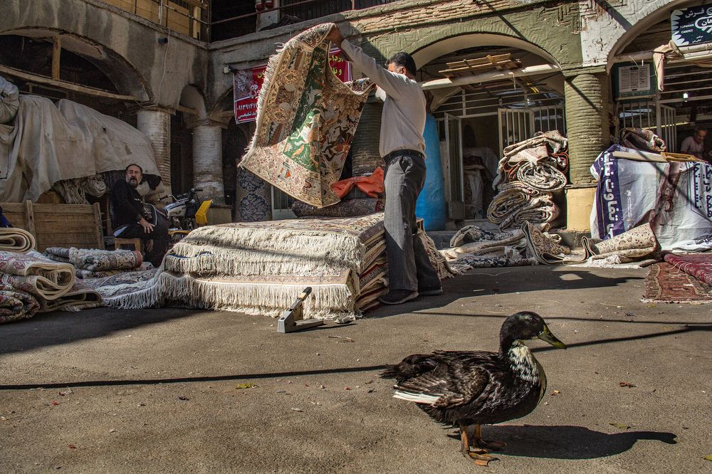 Photograph by davood rastegari