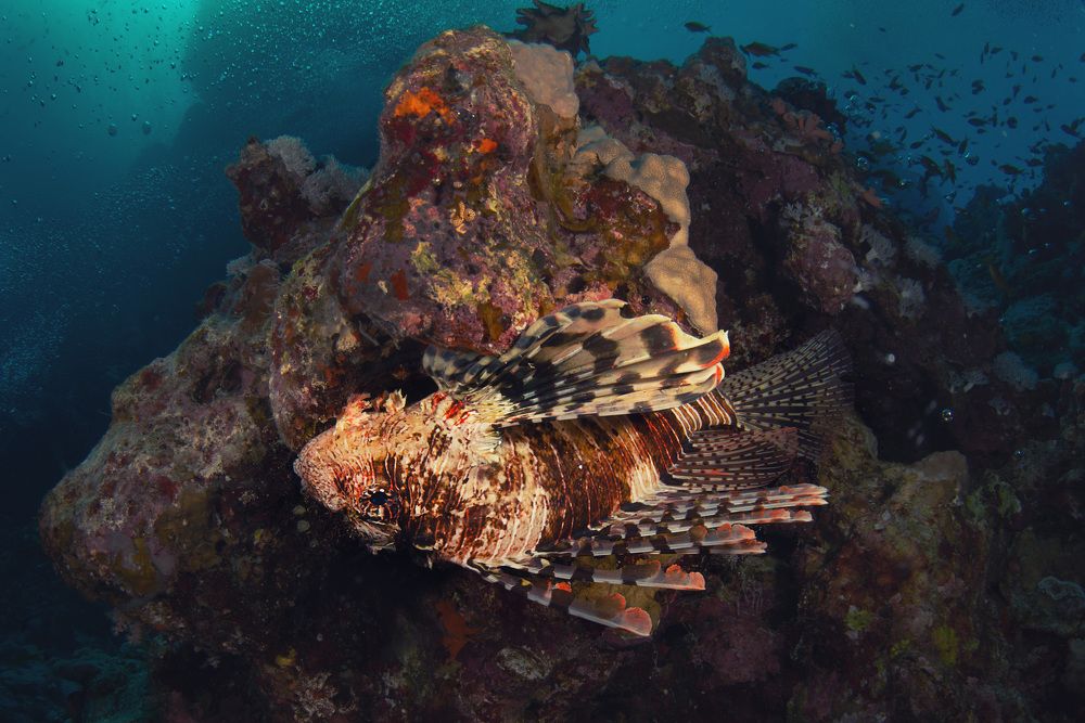 Фотография автора Евгения Кирпиченкова (Клипп)