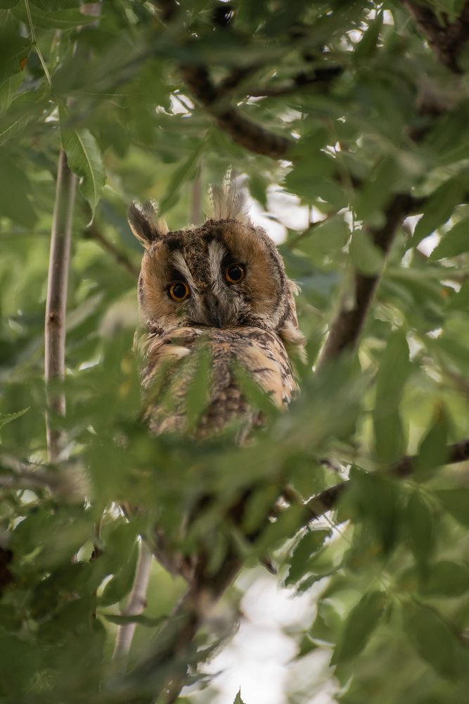 Photograph by Рустам Афлятунов