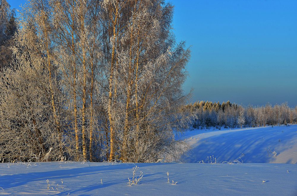 Photograph by Владимир Бикмаев