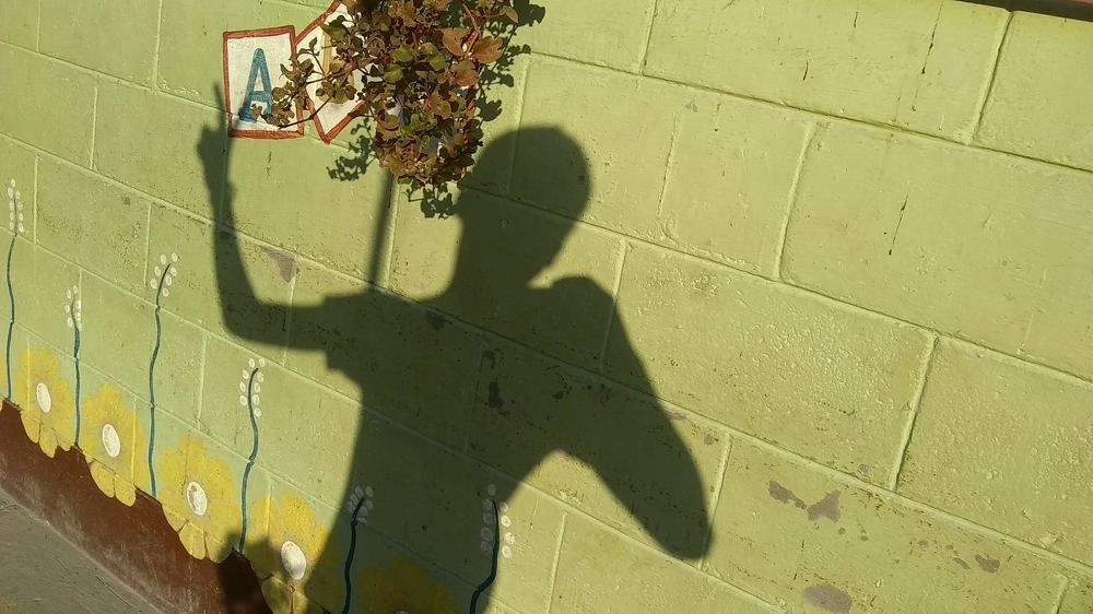 Photo #5574628