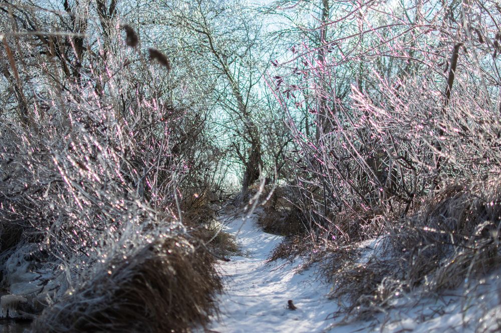 Фотография автора Алексей Боровик
