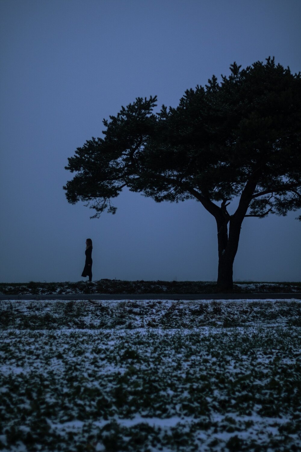 Photo #5574794