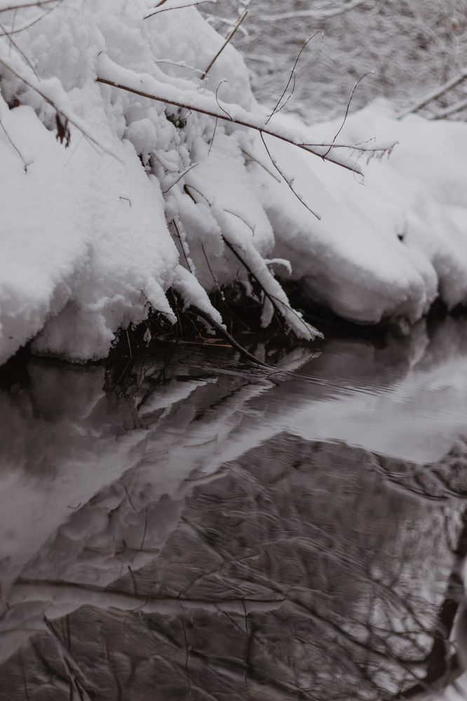 Photograph by Марина Кирпичникова