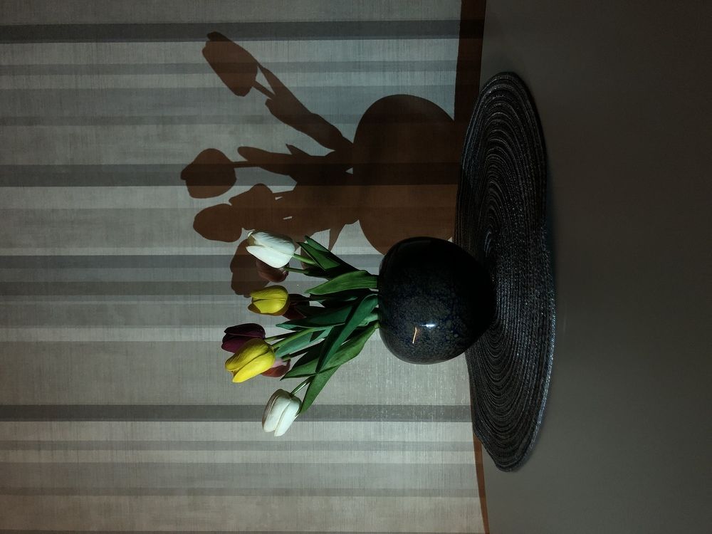 Photograph by Nebojsa Kavaric