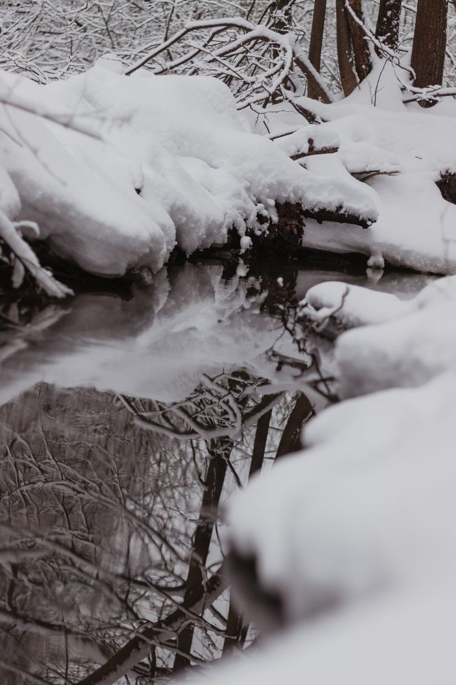 Photograph by Марина Кирпичникова