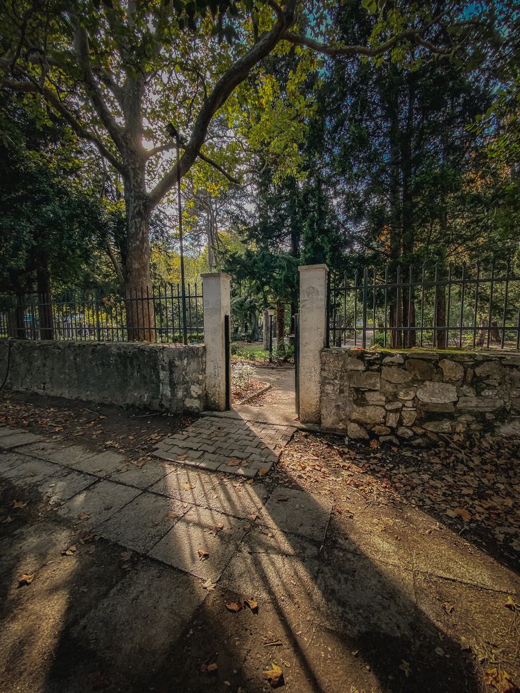 Photograph by Nebojsa Kavaric