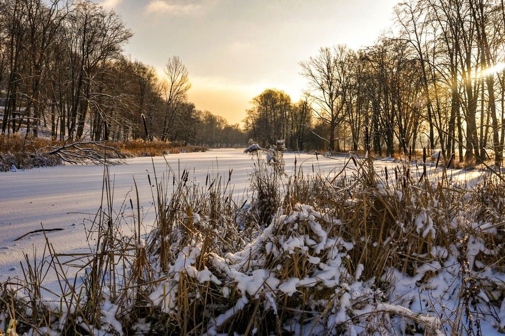 Фотография автора Justyna Jeżak