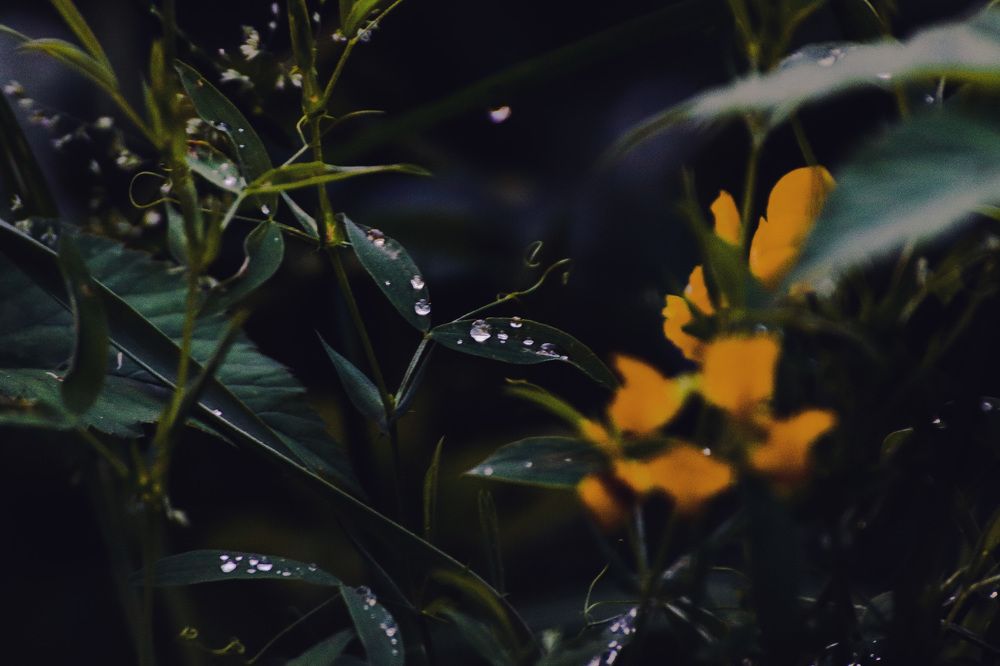 Photograph by Наталья Шмелева