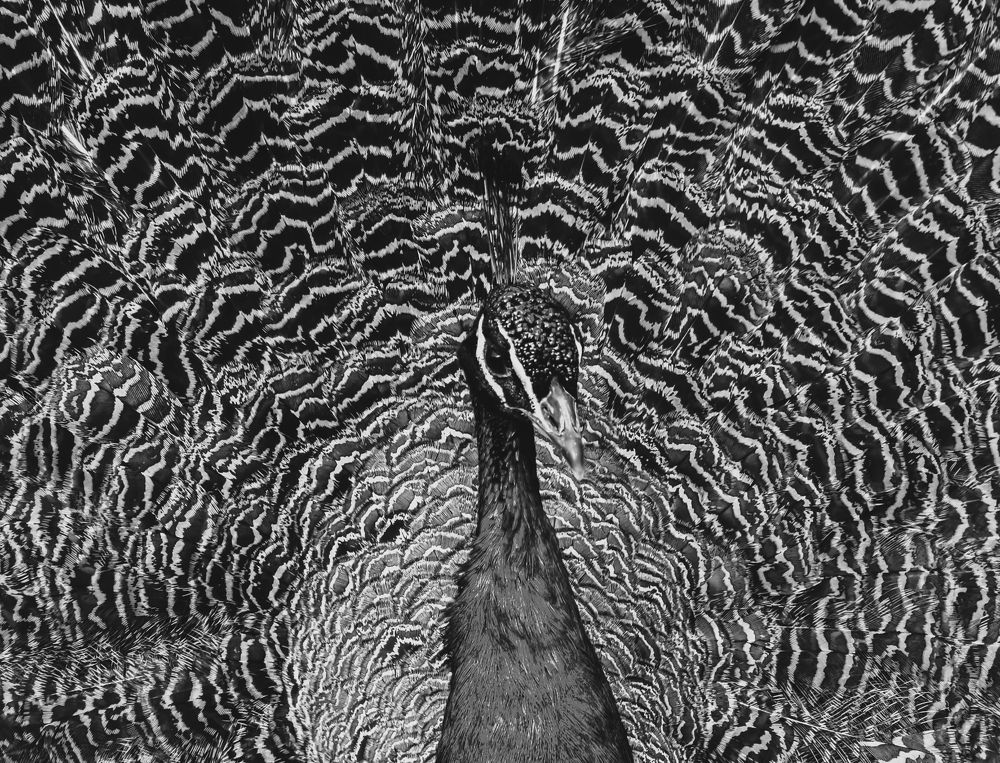 Фотография автора Justyna Jeżak