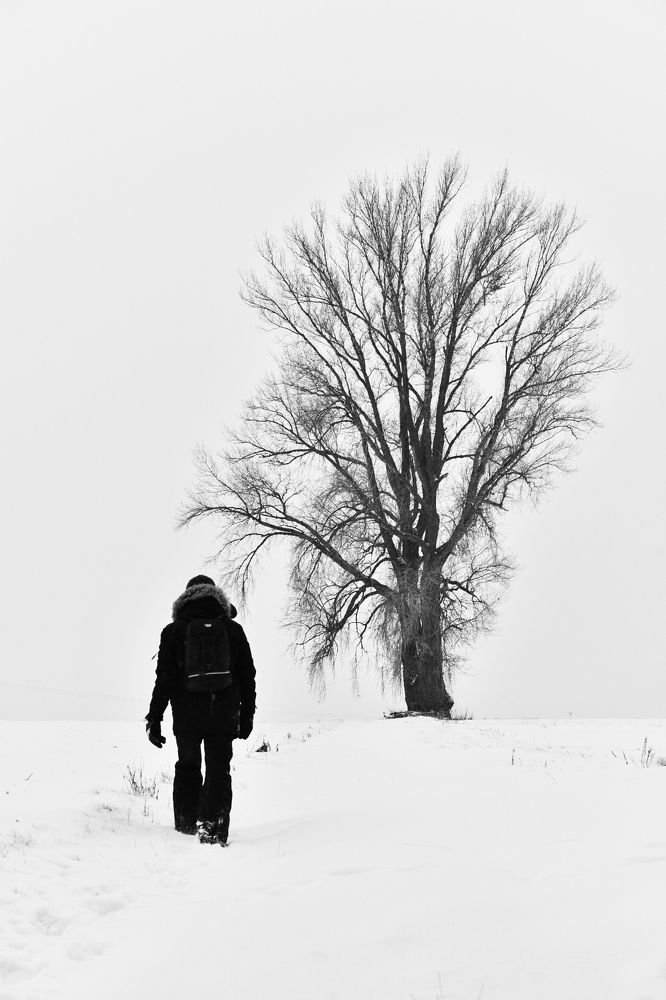 Фотография автора Justyna Jeżak