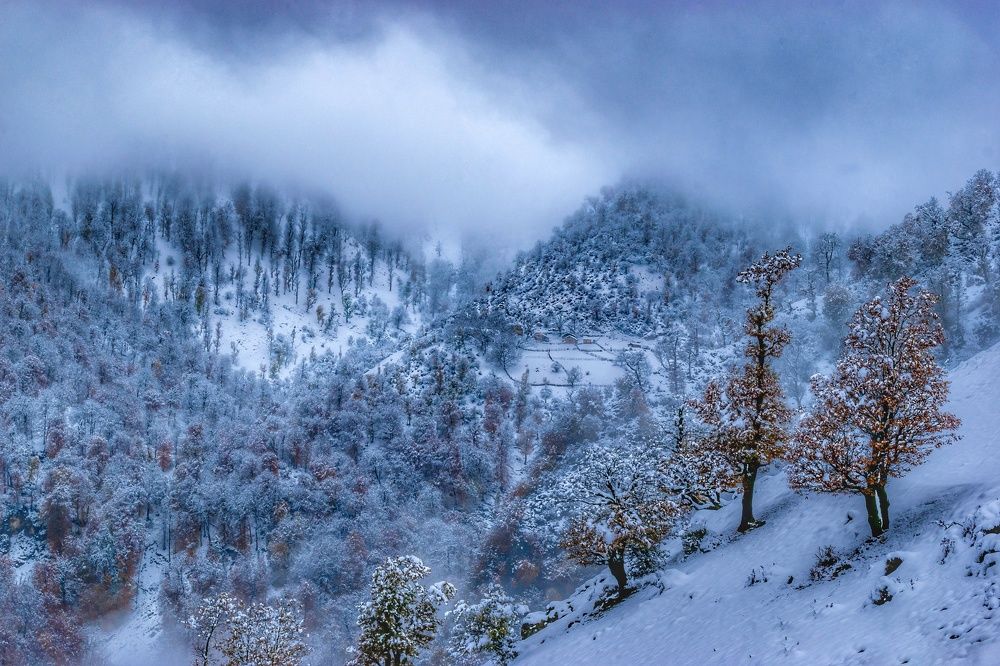 Photograph by Vahid Yavari