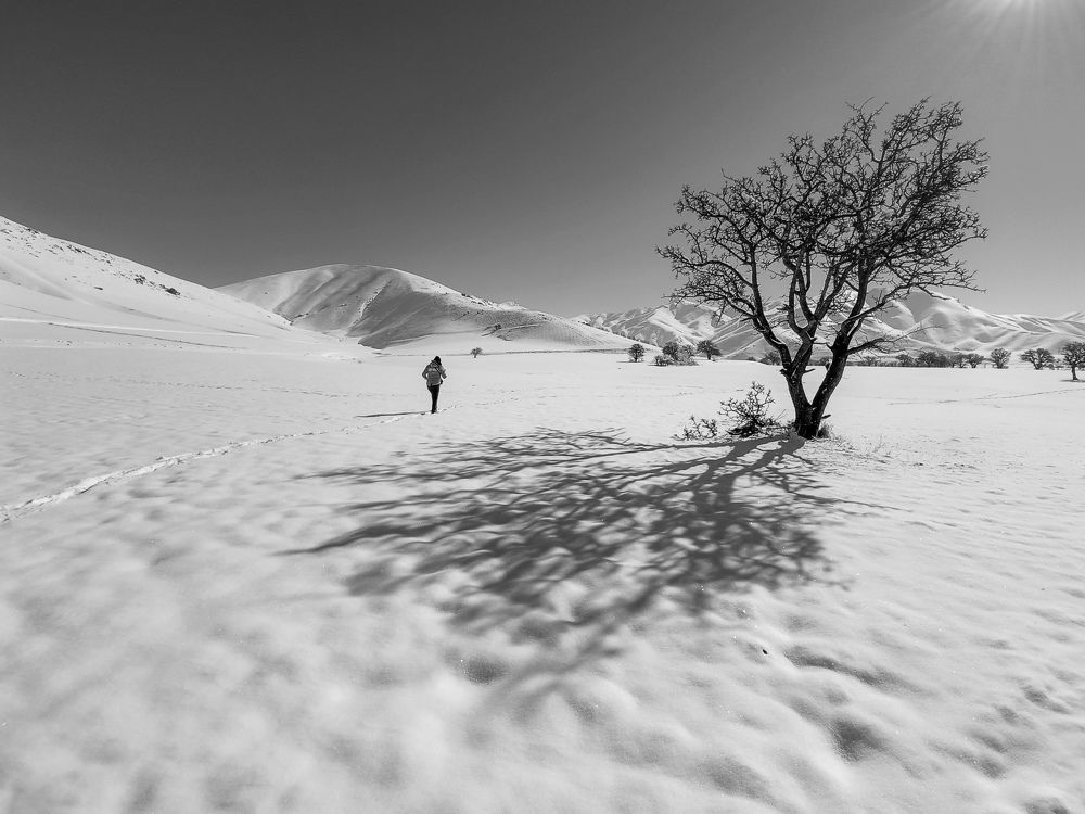 Photograph by Alipour mohammad