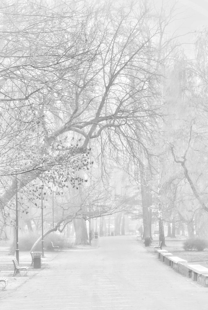 Photograph by Palina Mikhailouskaya