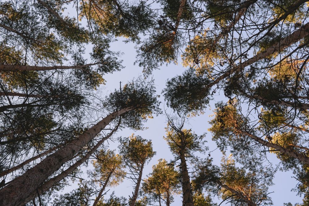 Photograph by Maria Filatova