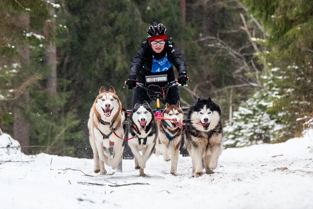 Photograph by Илья Юфа